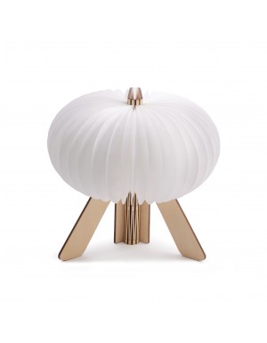 R Space Lamp in Maple