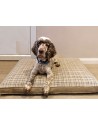 Dylan waiting for his tea on the Dog futon bed