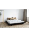 The Japan Futon Bed with Black Knight frame finish
