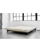 Senza Futon Bed at Futons 247 in Black Finish with futon mattress