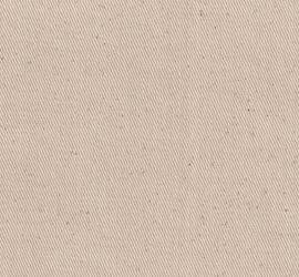 Natural Cotton Drill